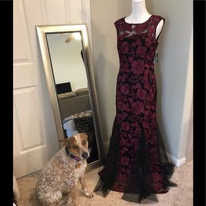 💃🏻evening / formal dress 👗